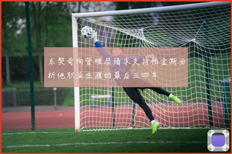 东契奇向管理层请求支持帕金斯分析他职业生涯的最后三四年