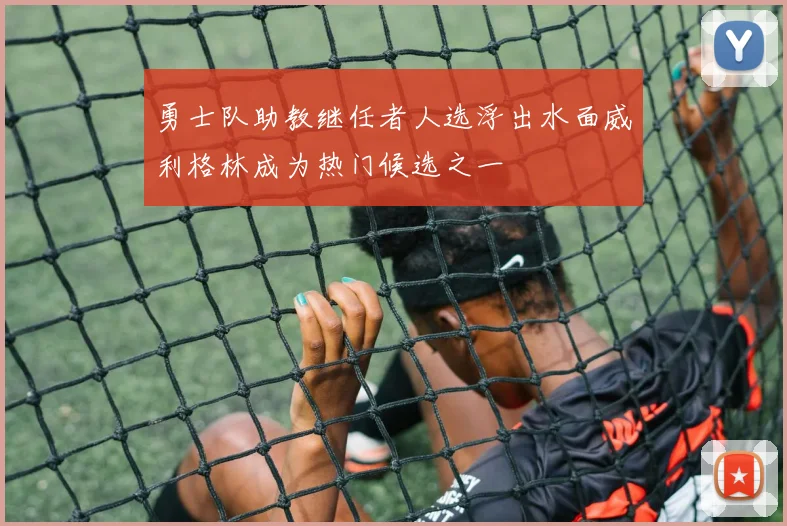 勇士队助教继任者人选浮出水面威利格林成为热门候选之一